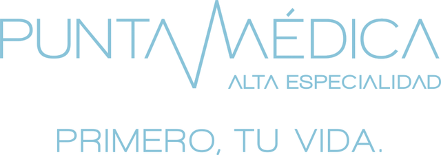 Logo Punta Medica